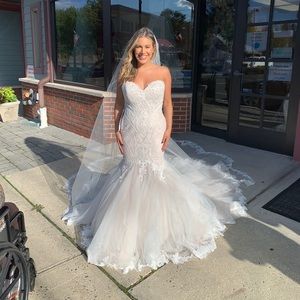 Wedding dress bride